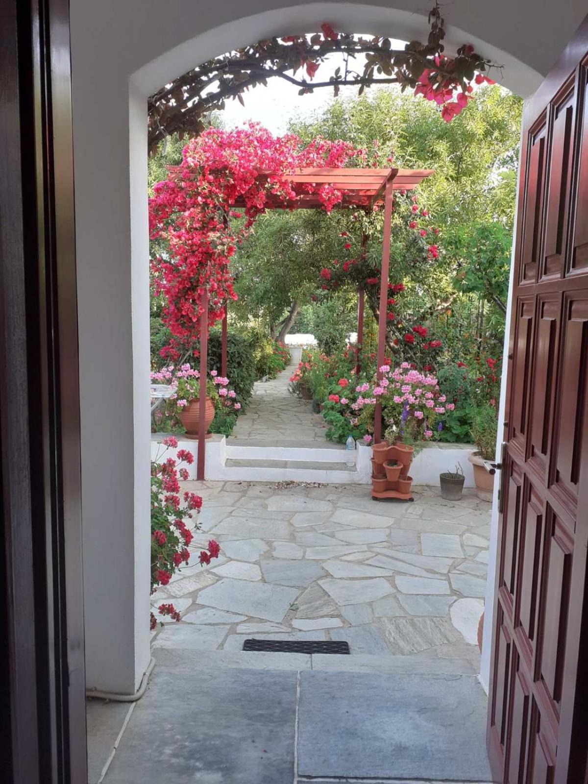 Kipos Apartment Apollonia  Luaran gambar