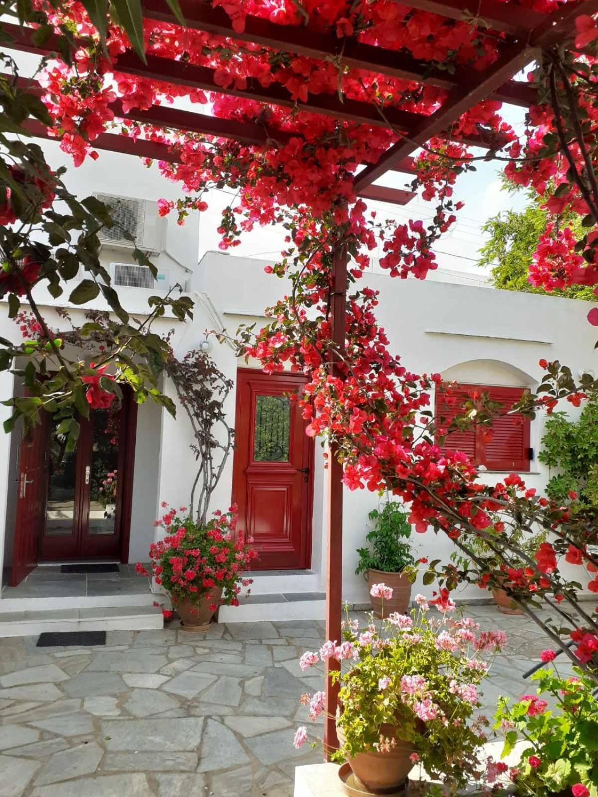 Kipos Apartment Apollonia  Luaran gambar