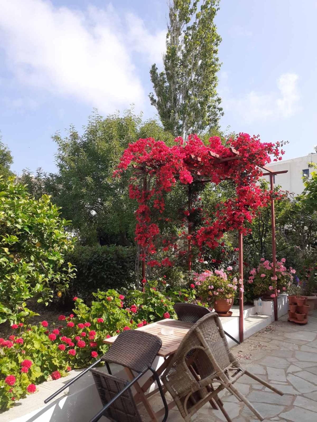 Kipos Apartment Apollonia  Luaran gambar