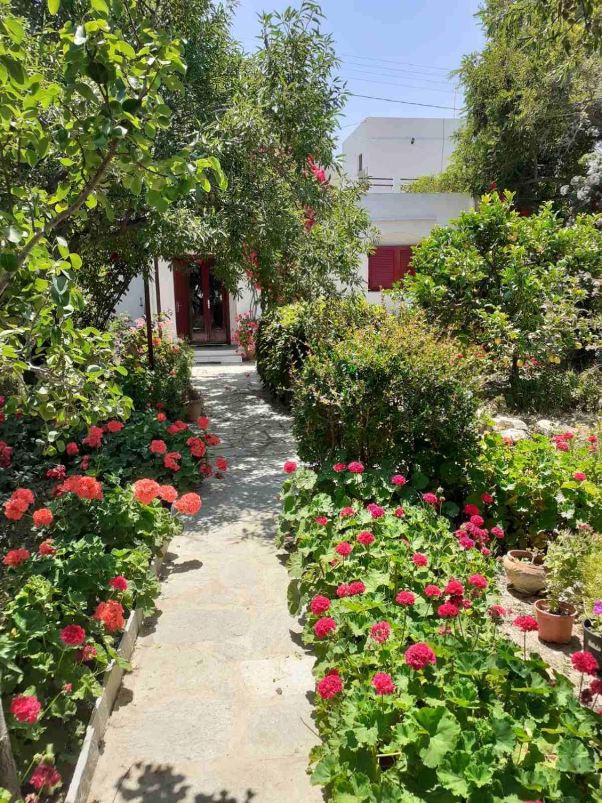 Kipos Apartment Apollonia  Luaran gambar