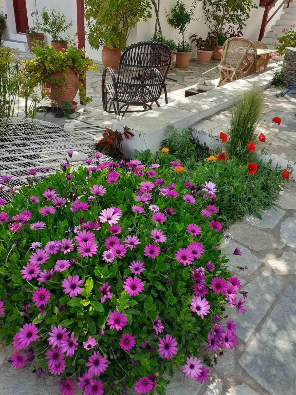 Kipos Apartment Apollonia  Luaran gambar