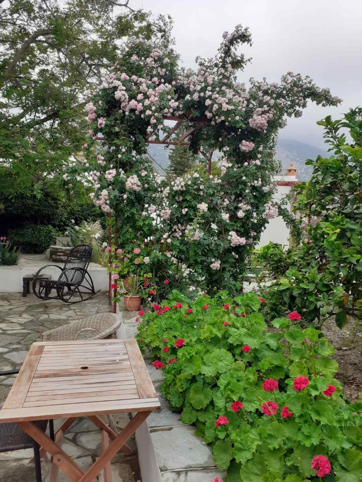 Kipos Apartment Apollonia  Luaran gambar