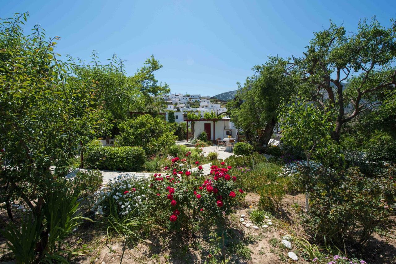 Kipos Apartment Apollonia  Luaran gambar