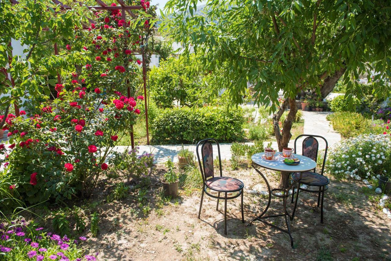 Kipos Apartment Apollonia  Luaran gambar
